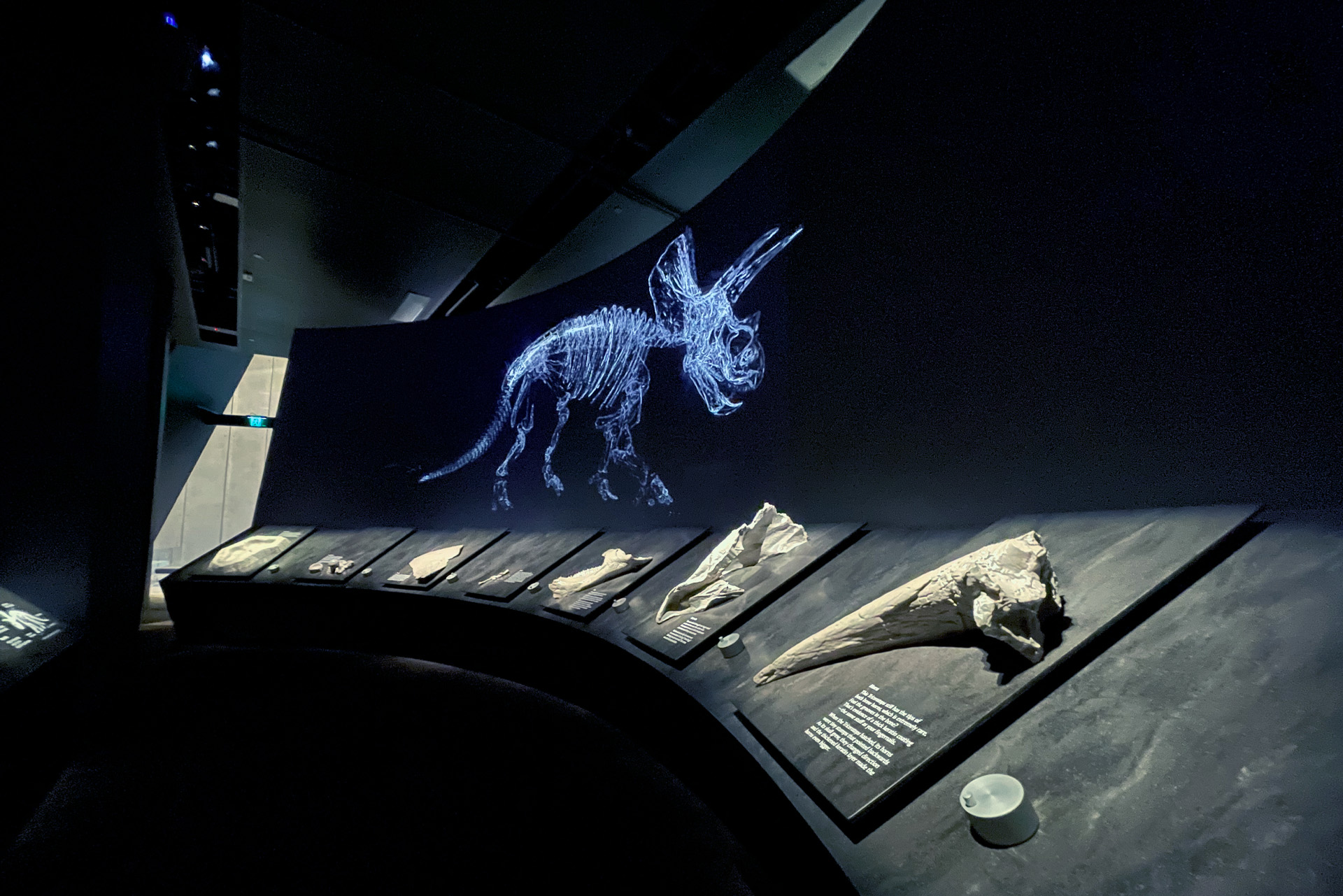 Digital model of Triceratops skeleton