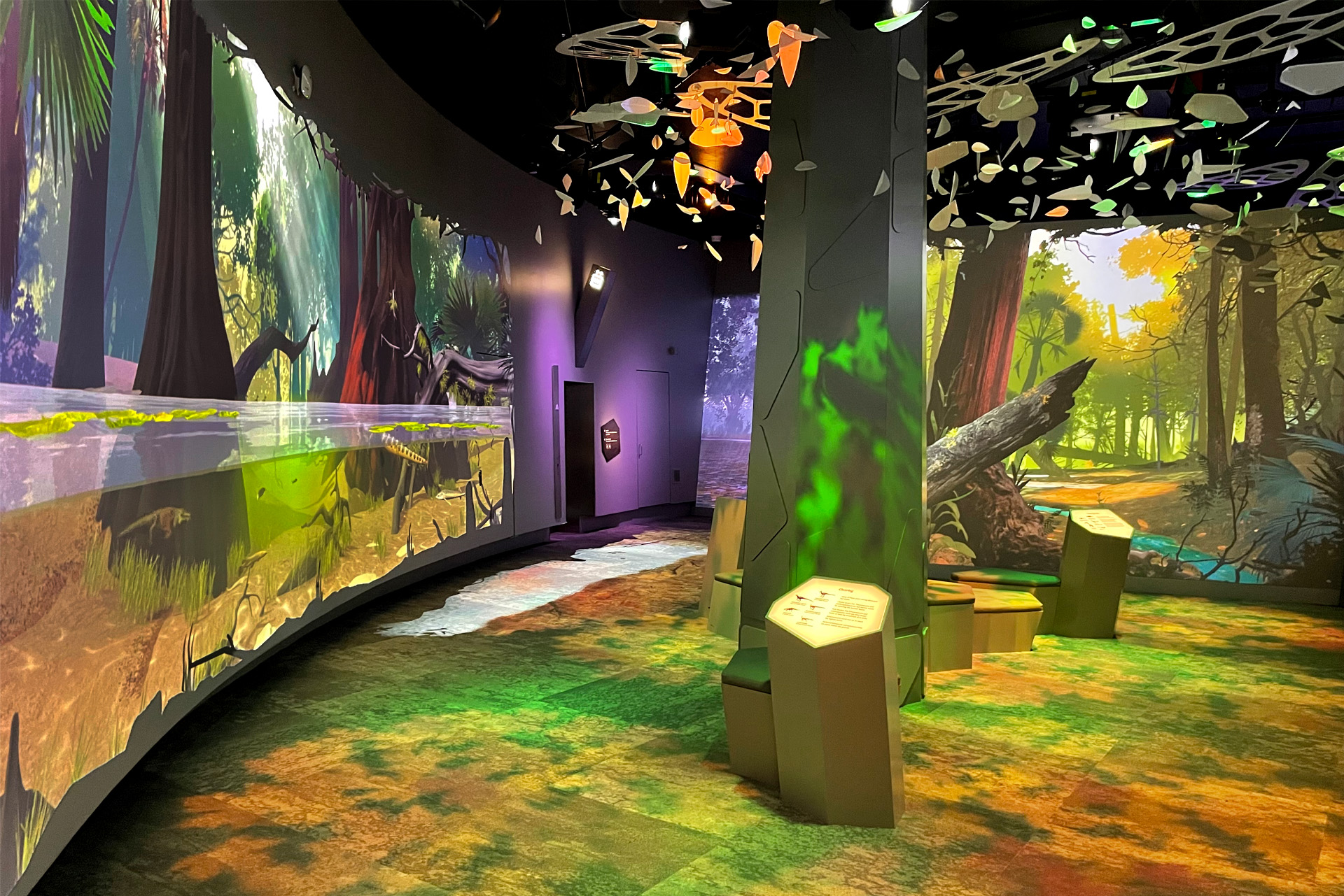 Wide-shot of the colourful immersive experience